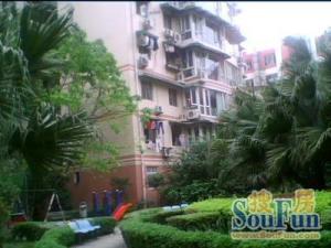 西华家园 2室1厅 南