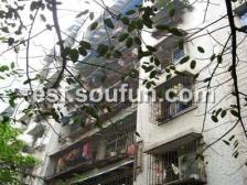 花卉园 黄金堡普通住宅小区三房