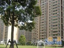 近地铁 电梯房 产权清晰,中间楼层,新上房源