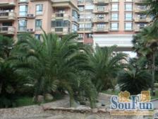 世纪苑一梯一户大平层