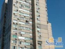 电梯中区,东方明珠三件套尽收眼底,新换电梯