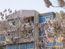 周家嘴路·时运苑·3室·2厅