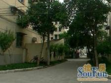 市光三村 一楼带花园的 全明户型