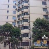 烫金地段,地梯口500米电梯顶楼复式近明强诚意出售