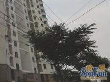 世博滨江·南园大厦·1室·1厅