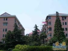 车位充足,精品改造,纯毛坯,中间楼层,推窗见绿