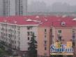 虹仙小区实景图