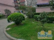 金虹苑精品小区,中间楼层,中间位置,全明有钥匙诚售