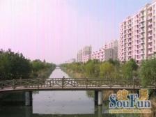 近地铁,中间楼层,电梯房 新上房源