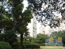 顾村·文宝苑·2室·2厅