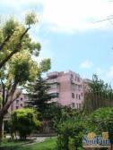 真光第四小区1室1厅南