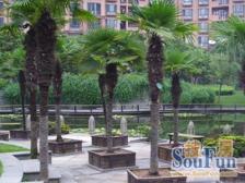 世纪大道地铁口,源深体育馆旁,三房朝南!百万装修