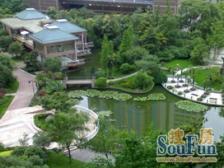 近地铁 电梯房,家具全送 通风好,必看好房