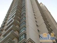 新上高区景观房!楼层好,视野佳,夜景更赞!