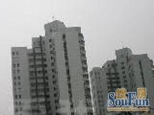 市政大楼1室1厅南