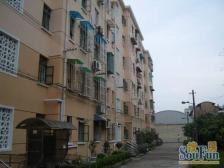 三林·南杨小区(长清路)·2室·1厅