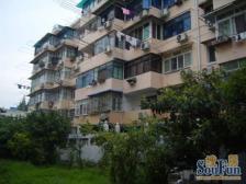 三林·南杨小区(长清路)·2室·1厅