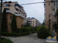 杨思地铁口+前滩电梯房+小区中间位置+全明户型+税费少