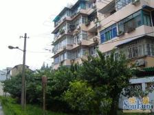 三林·南杨小区(长清路)·1室·1厅