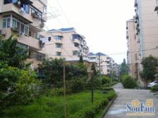 杨思前滩,总价5以内电梯景观大三房,诚意出售的,