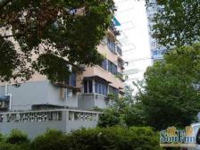 店长主推-新上房源-南杨好户型-D总价