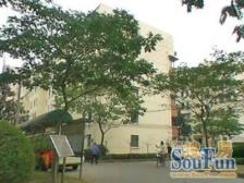 浦东世博,诚售好房,非顶楼,紧邻川杨河氧吧,一梯三户,价好谈