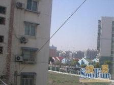 十二村难得出来的好房子,户型正气,诚意出售