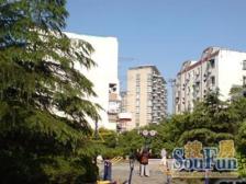 近地铁,一梯两户,正气双南户型,视野开阔,采光好