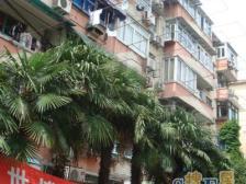 长风·长风二村风荷苑·1室·0厅