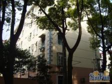 精装修+全明户型+南北通透