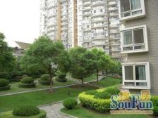 一览众山小,电梯两房,采光视野无遮挡,随时看房