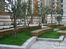 诚意出售看房方便