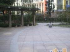 新天地高区双南户型 采光全天 适合新婚夫妇 梅溪+大同