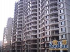 电梯房,大开间,品质小区,房型正气