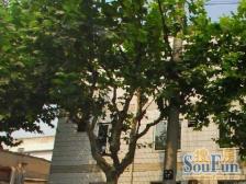 内环内,地铁口,新华医院旁,一房的价格买两房