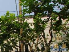 双辽路200弄 2室0厅 南 北