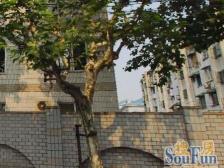 此房满五,南北通透格局,视野开阔,楼层好,配套齐全