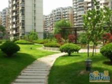 刚需改善大三房,电梯中区小高层,公园旁,20号线旁