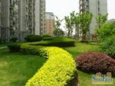 产权清晰,电梯房,随时看房,店长力推