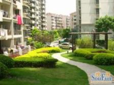 望景苑 2室2厅1卫 南