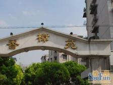 新杨思板块 中环内 总价低 有大露台