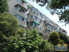 电梯费用已交,双南两房,户型正气,采光好