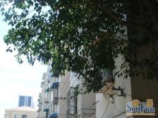 绿洲经典南北大一房 景观位置 一梯二户 得房率高