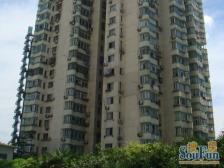 绿洲经典电梯一房 楼层佳 装修好 交通方便 房东置换