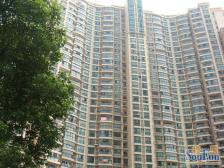 近地铁,中间楼层,电梯房,新上房源