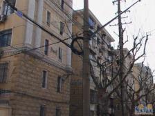 大宁 · 双学,闸时,风华,房东诚心,看房方便