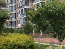 贝越流明新苑6室南朝向1058.00万元/套出售