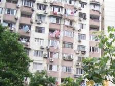 两梯八户,边套户型,南北通风,采光无遮挡