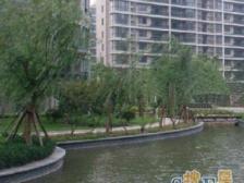 一梯四户,大开间,厨卫朝北,品质小区