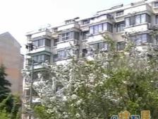 锦龙苑 2室1厅 南